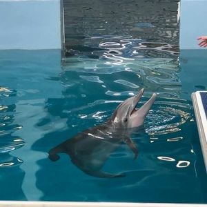 Meet your Posher, Wendy